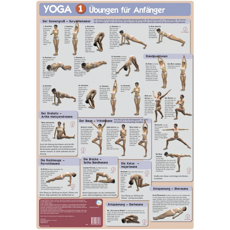 Poster für Yoga - verschiedenen Stellungen auf einem Blick. Geeignet für Yogaschulen
